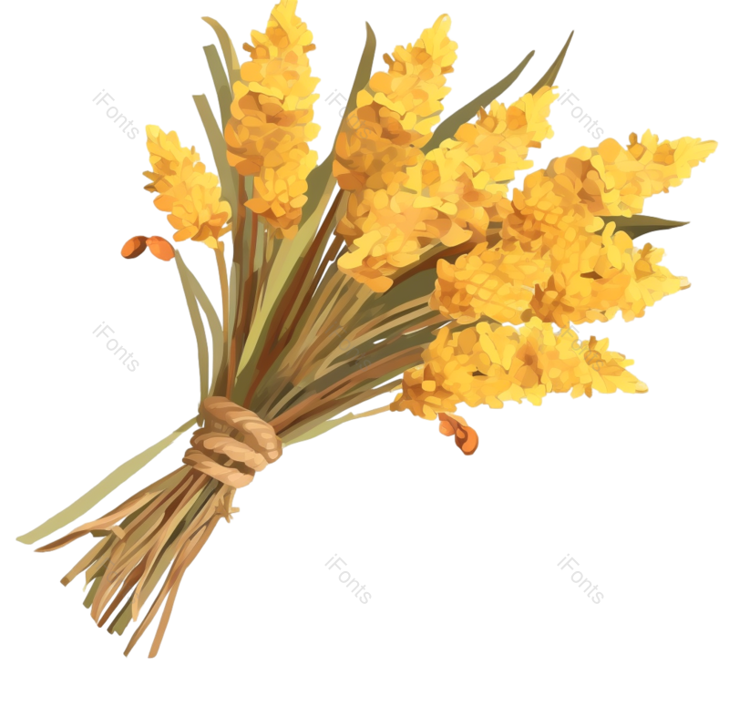 叶子图片,芒种元素,元素PNG,插画免抠素材